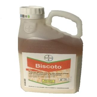 BISCOTO