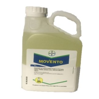 MOVENTO