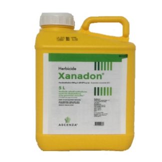 XANADON