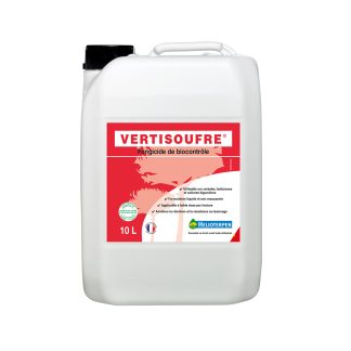 VERTISOUFRE